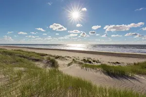 Texel: Dune landscape - isle of Texel - Netherlands