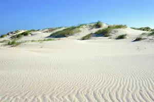 Wavelike: Dune landscape with wavelike structure in white