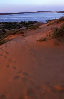 Francois: Dune near Big Lagoon, Francois Peron National Park