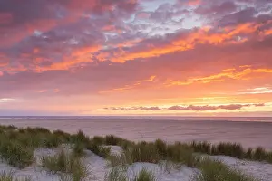 180320: Dune at sunset - isle of Texel - Netherlands