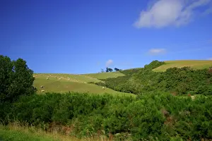 Terrain: Dunedin, New Zealand. The pristine natural