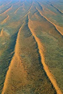Corridors: Dunefields (dunes and interdune corridors)