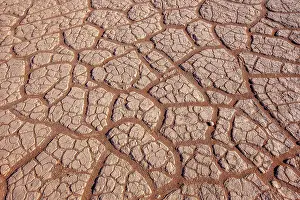 Fabales: DUNES DEADVLEI