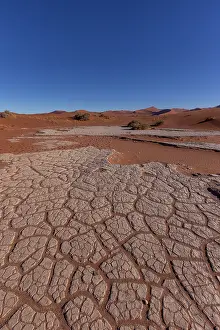 Fabales: DUNES DEADVLEI
