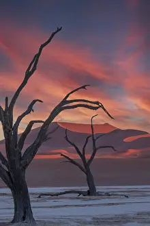 Acacia: DUNES DEADVLEI