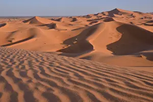 Merzouga: Dunes in the morning light, Great Sand Sea, Sahara