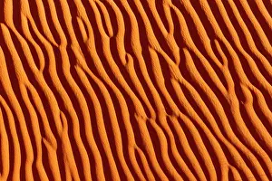 Marks: Dunes with ripple marks