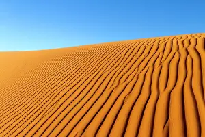 Marks: Dunes with ripple marks