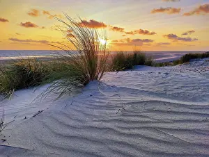 Frisian: Dunes by the sea with sunset, Norderney Island