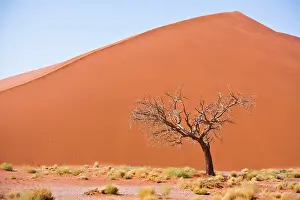 Sossusvlei: Dunes at Sossusvlei, Namib-Nauklift NP