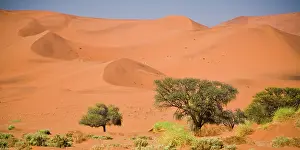 Sossusvlei: Dunes at Sossusvlei, Namib-Nauklift NP