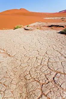 Cracked: Dunes at Sossusvlei, Namib-Nauklift NP
