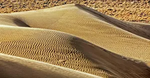 Thar: Dunes of Thar Desert. Sam Sand dunes, Rajasthan, India, Asia