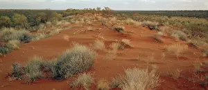 Simpson: Dunes.Simpson Desert, Northern Territory, Australia