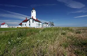 Gramineae: Dungeness Lighthouse on the sandspit of Olympic
