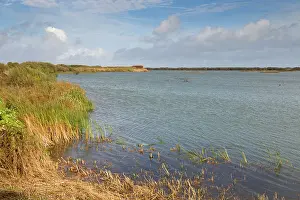 Rspb: Dungeness RSPB Reserve