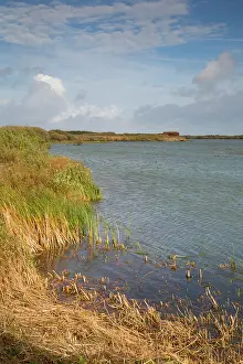 Rspb: Dungeness RSPB Reserve