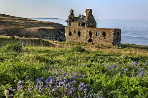 Dunskey: Dunskey Castle - blooming bluebells in front of