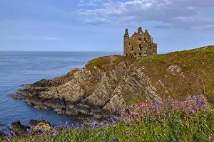 Ragged: Dunskey Castle - blooming spring flowers and ancient