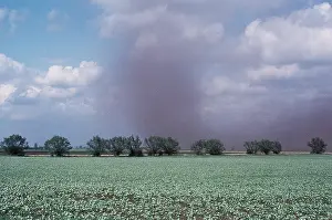 Devil: DUST BLOW