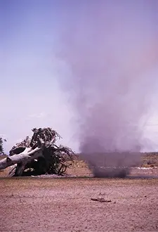 Winds: DUST DEVIL