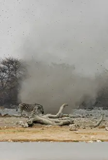 Throwing: Dust Devil - Throwing debris high in the air at