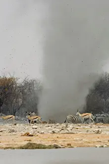 Throwing: Dust Devil - Throwing debris high in the air at