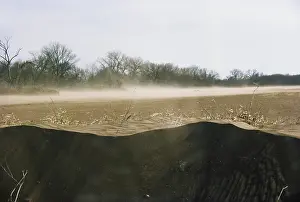 Topsoil: Dust in a Wheat Field