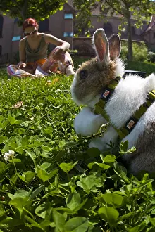 Mistress: Dwarf rabbit on a lead and his mistress in a park