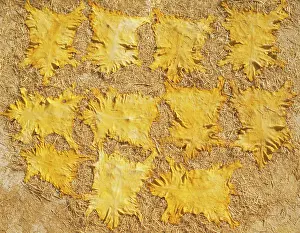Hides: Dyed Hides are sun-dried on a roof terrace in the