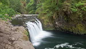 Hood: Eagle creek flows over a basalt block in