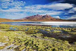 Lipez: Early evening light on Laguna Canapa