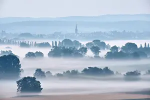 Constance: Early morning fog over the Radolfzell Aachried