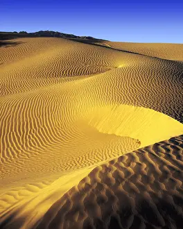 Isolation: Early morning light on sand-dunes in Death Valley