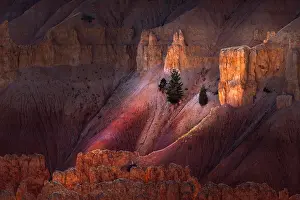 Adam Jones: Early morning view of hoodoo formations Bryce Canyon