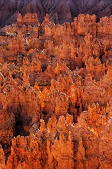 Adam Jones: Early morning view of hoodoo formations Bryce Canyon
