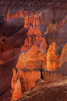 Adam Jones: Early morning view of hoodoo formations Bryce Canyon