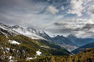 Larix: Early winter in Valdidentro seen from Passo