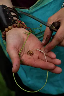 Delicious: Earthnut is delicious in every dish, but a bit