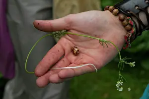 Delicious: Earthnut is delicious in every dish, but a bit
