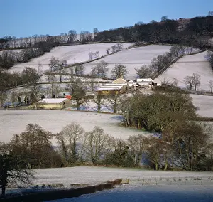Hedges: East Devon farmland
