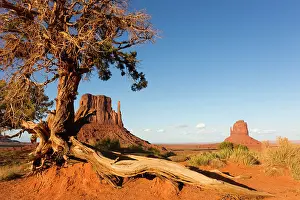 Buttes: East and Merrick Mitten Butte