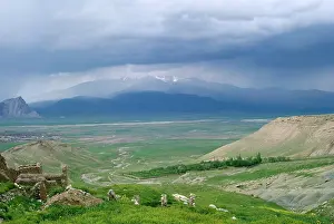 Anatolian: Eastern Anatolian, Turkey - example of Steppe
