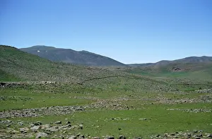 Anatolian: Eastern Anatolian, Turkey - example of Steppe