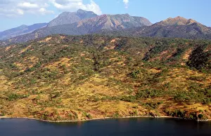 Schweinfurthi: Eastern shore of Lake Tanganyika - habitat of Eastern