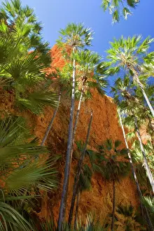 Chasm: Echidna Chasm - a very narrow, enchanting slot