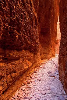 Chasm: Echidna Chasm - a very narrow, enchanting slot