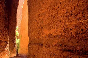 Chasm: Echidna Chasm - a very narrow, enchanting slot