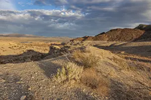 Lonesome: Echo wash drains into the Overton Arm of Lake Mead at Echo Bay