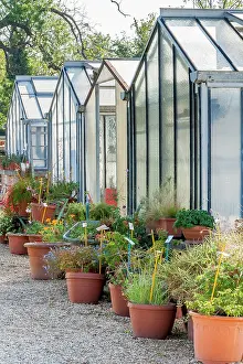 Gravel: Ecole du Breuil, Bois de Vincennes, Paris, France